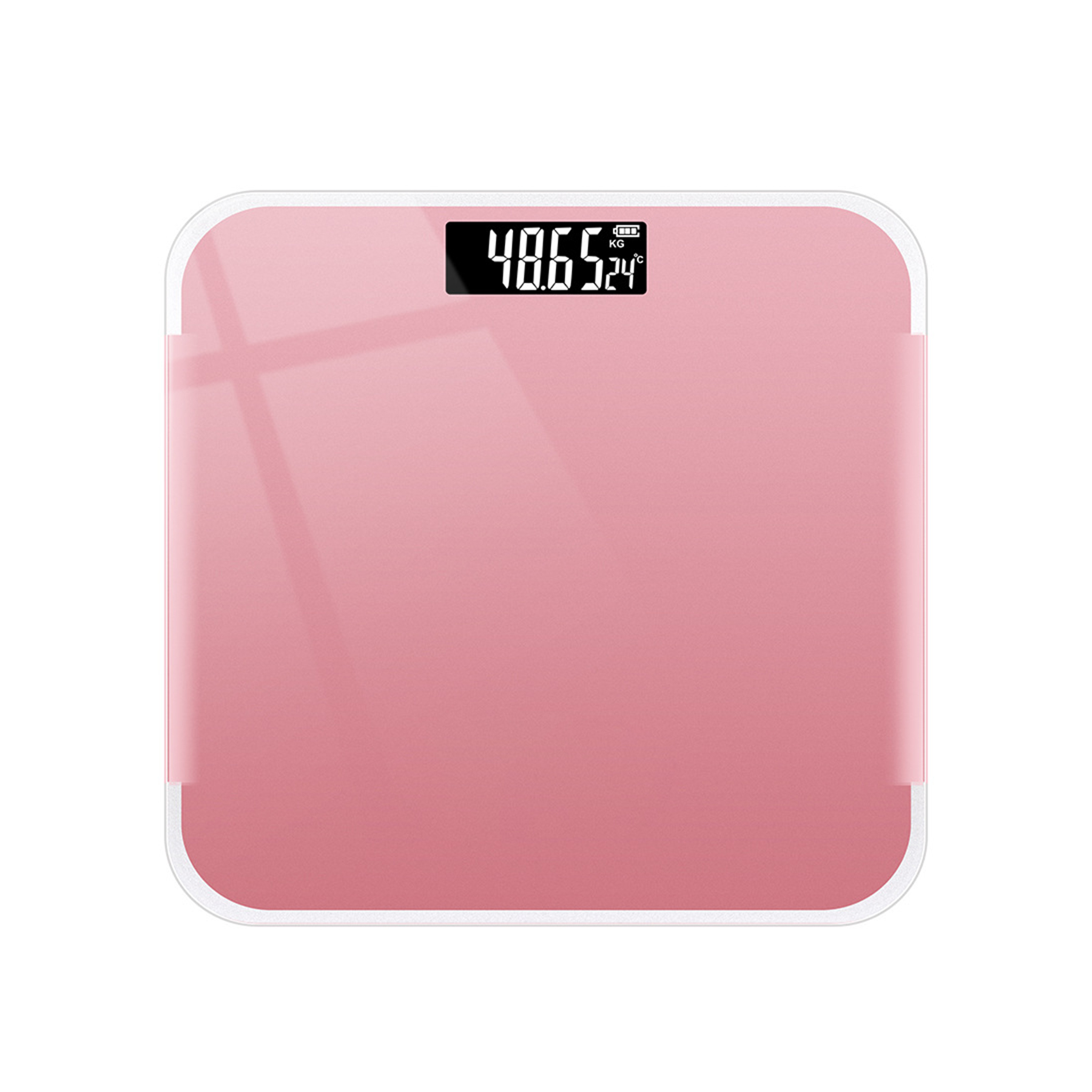 Sampson Electronic Scale 4