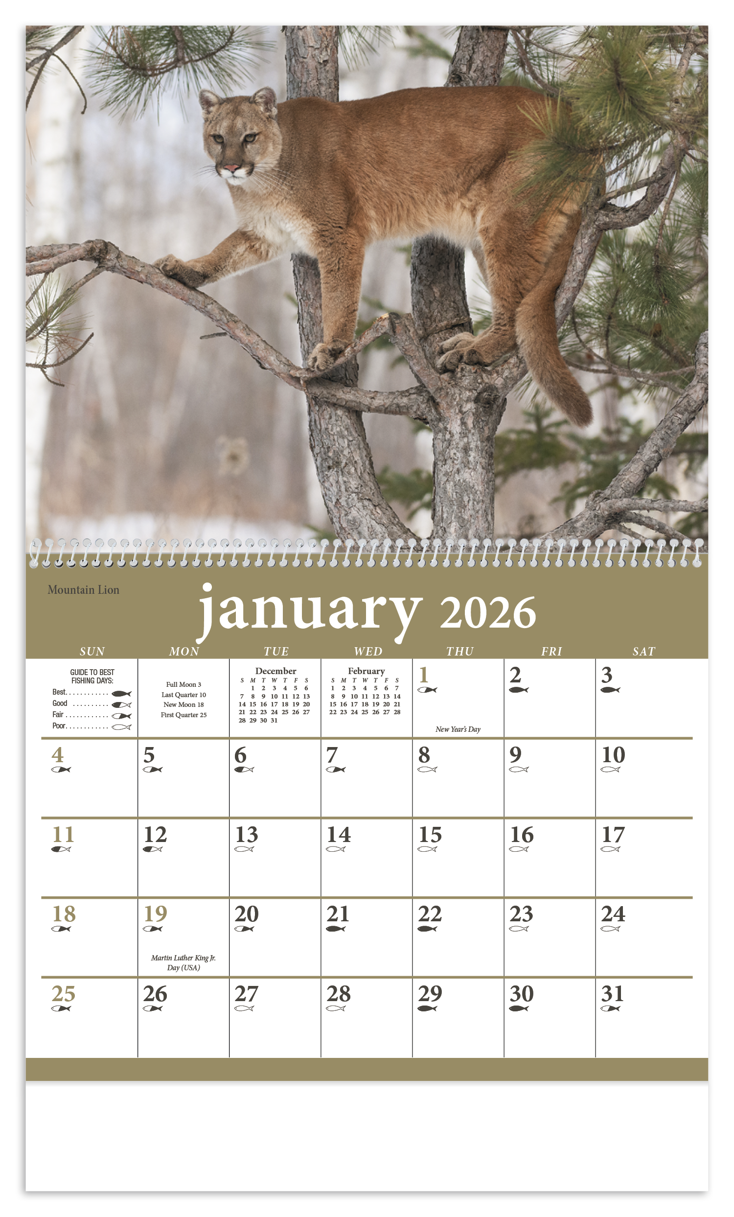 Triumph® Calendars North American Wildlife Calendar 19