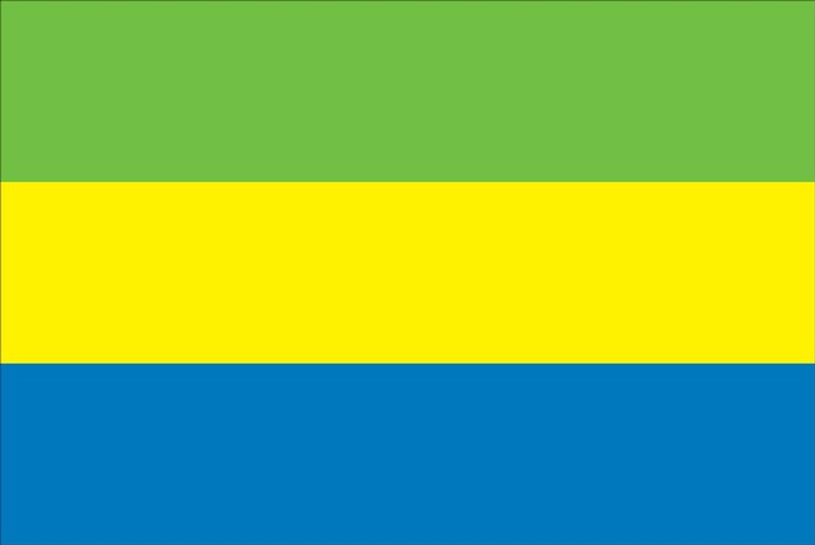 Gabon Flag - 5' x 8' - Nylon 2