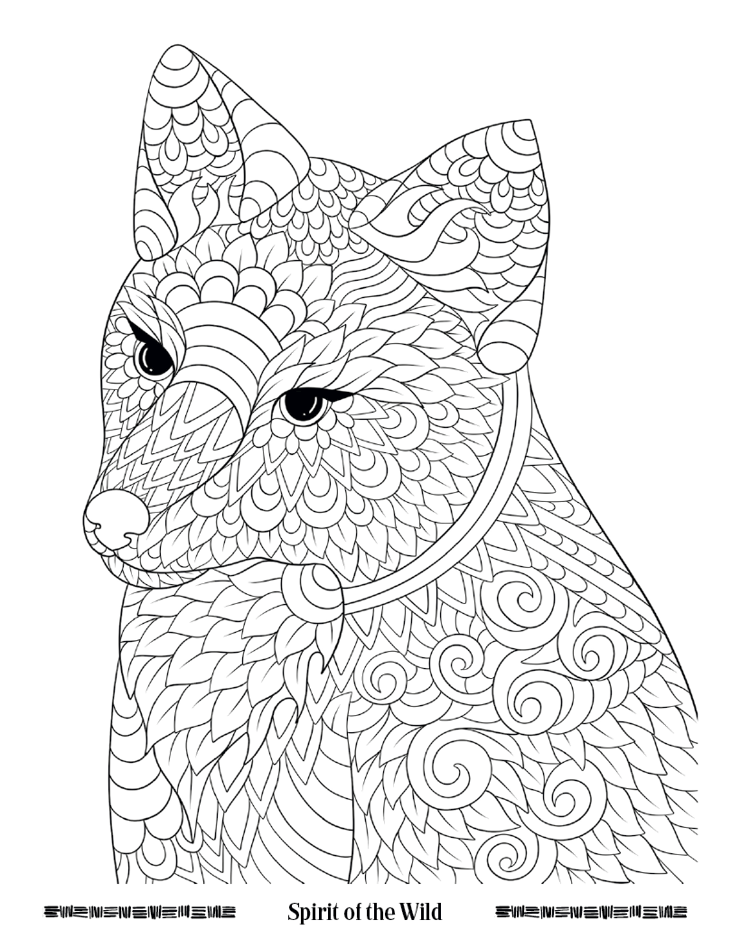 Good Value™ Wild Wonders Adult Coloring Book 3