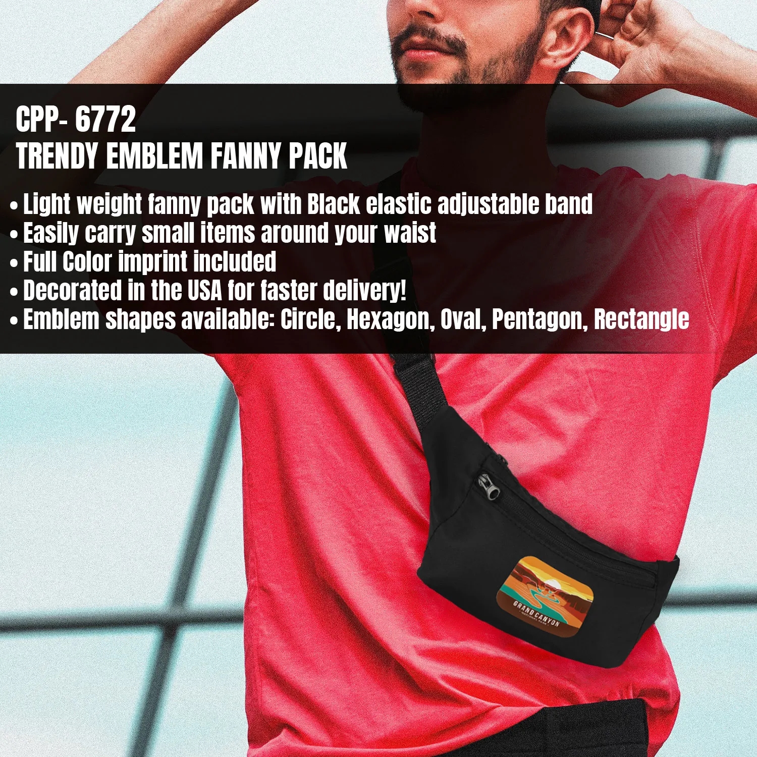 TRENDY EMBLEM FANNY PACK 3