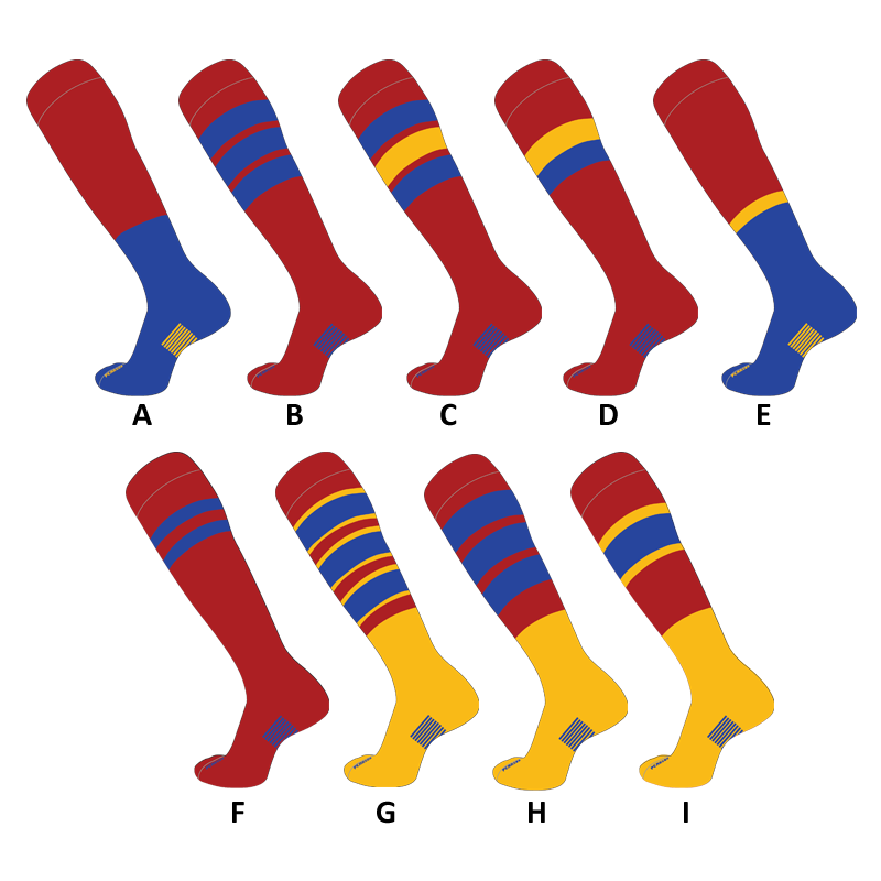 Custom Gridiron Football Sox 3