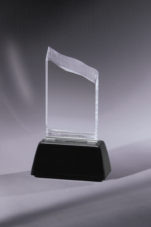 Acrylic Award 3