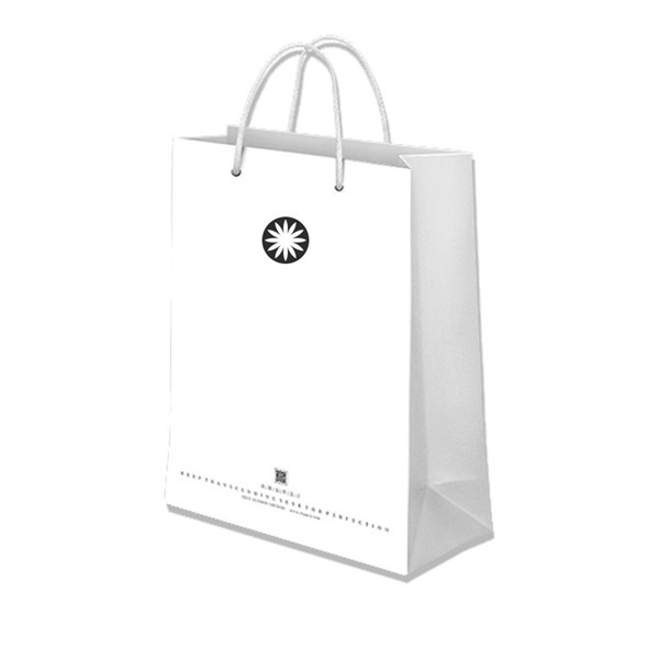 Kraft Paper Shopping Bag 2