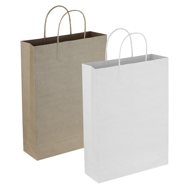 Paper Trade Show Bag 2