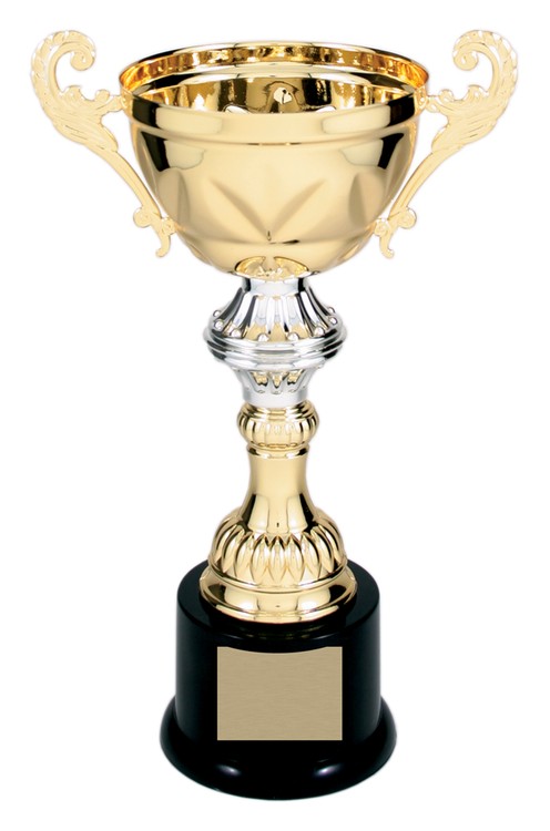 10" Tall Gold Metal Cup Trophy 1