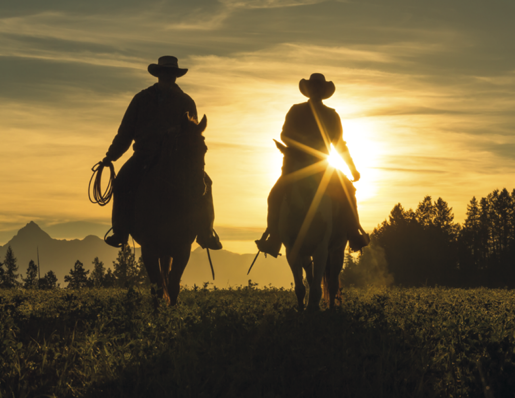 Triumph® Calendars Visions of the West Calendar 71