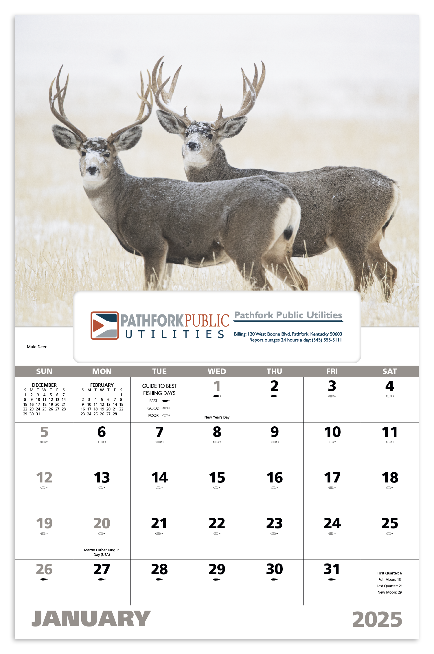 Good Value™ Wildlife Portraits - Window Calendar 10