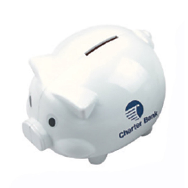 Coin Bank (PP) 5