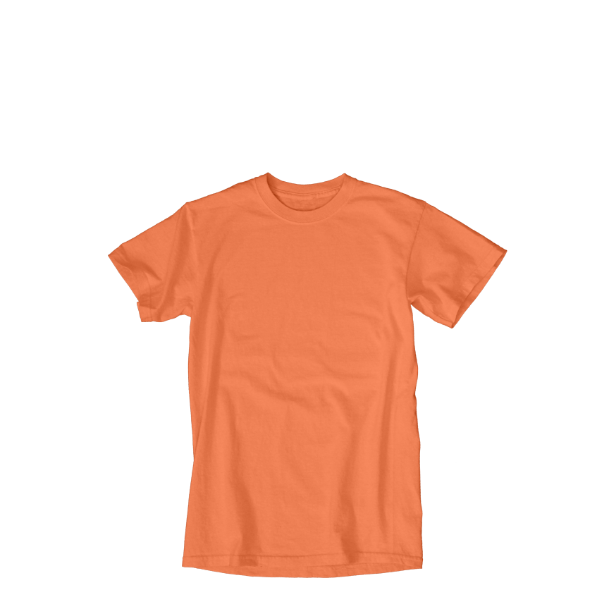 6.1oz OD T-SHIRT 18