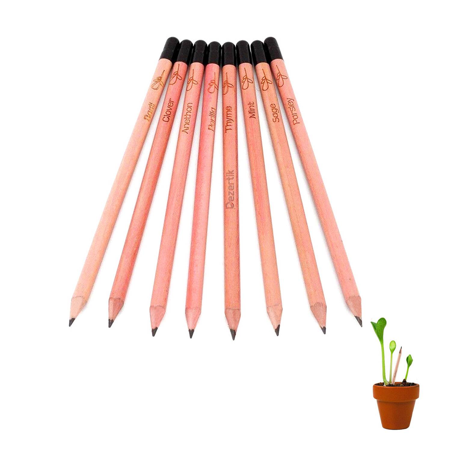 Customized daisy seed germination pencil