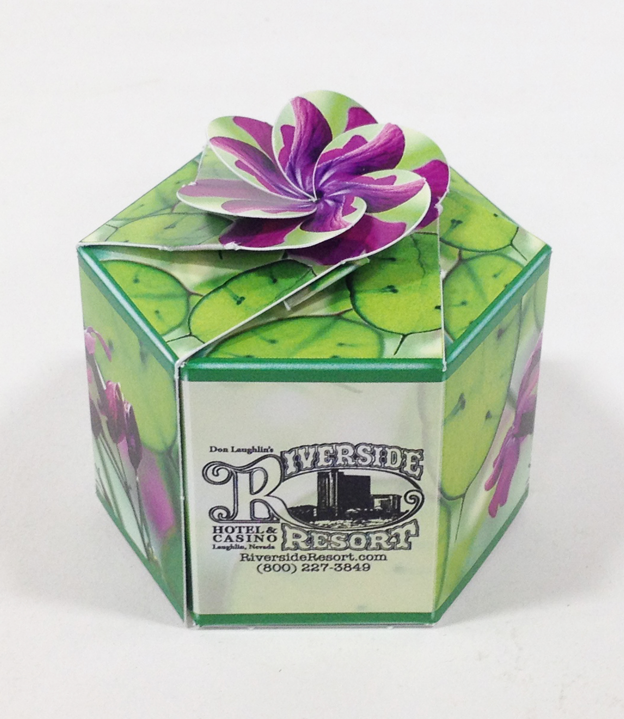 Moneyplant SeedGems Paper Planter - Biodegradable grow kit 1