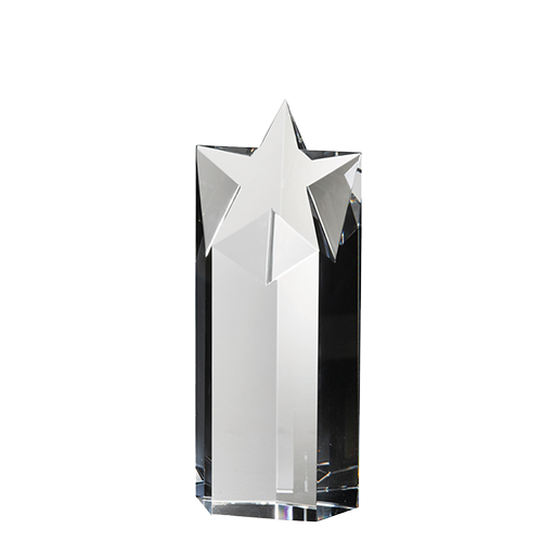 STARLITE AWARD MEDIUM 1
