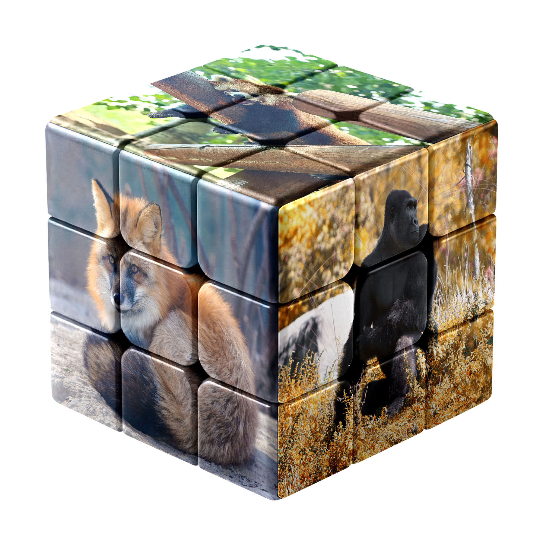 Customized Printing Fun Cube 10