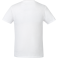 tentree Organic Cotton Short Sleeve Tee - Men's 51