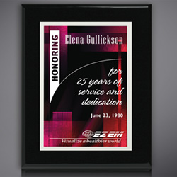Aberdeen Black Plaque with Sublimated Plate 10