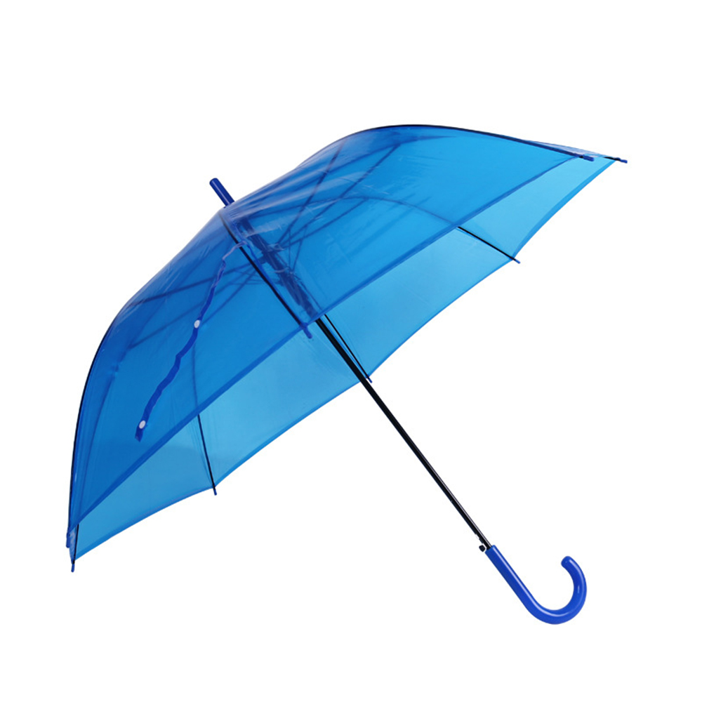 Small Fresh Transparent Umbrella 5
