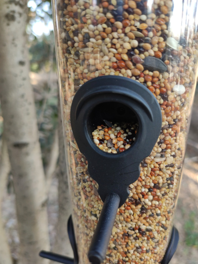 Birds Tube Feeders 3