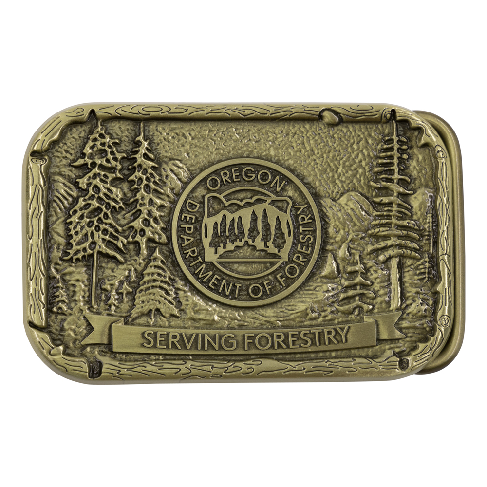 Custom Die Cast Belt Buckles 3-D 5
