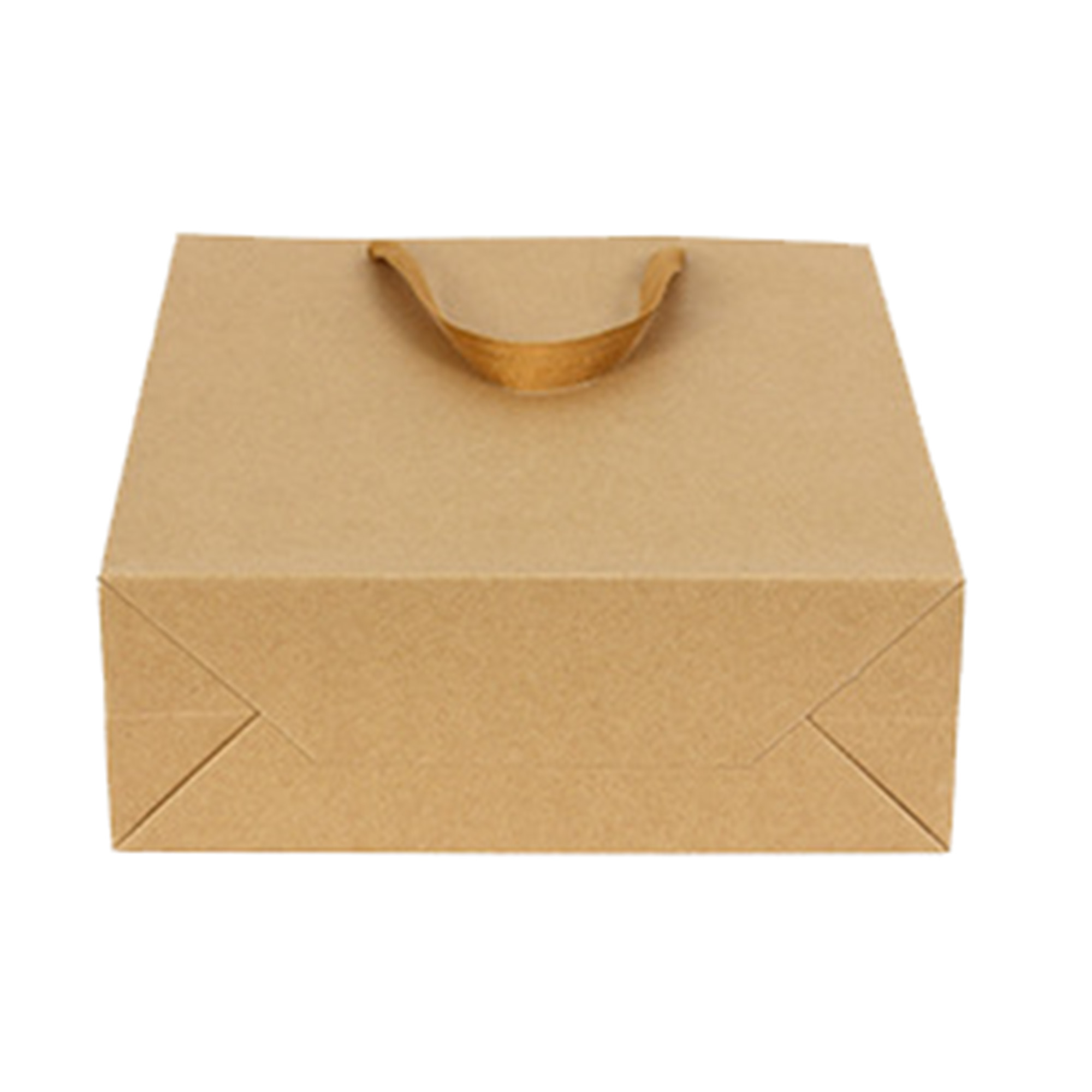 MOQ100 Kraft Paper Gift Bag 5