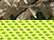 Realtree Edge- Neon Yellow