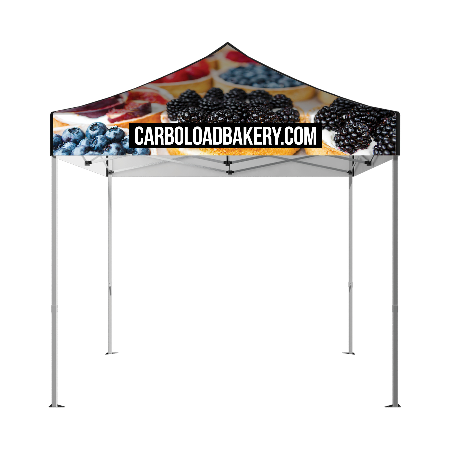 DisplaySplash 10' x 10' Tent Top & Frame 1