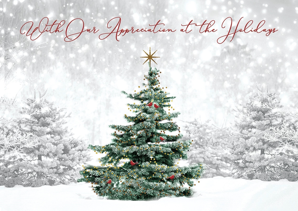 Spruced Up Holiday Cards 2