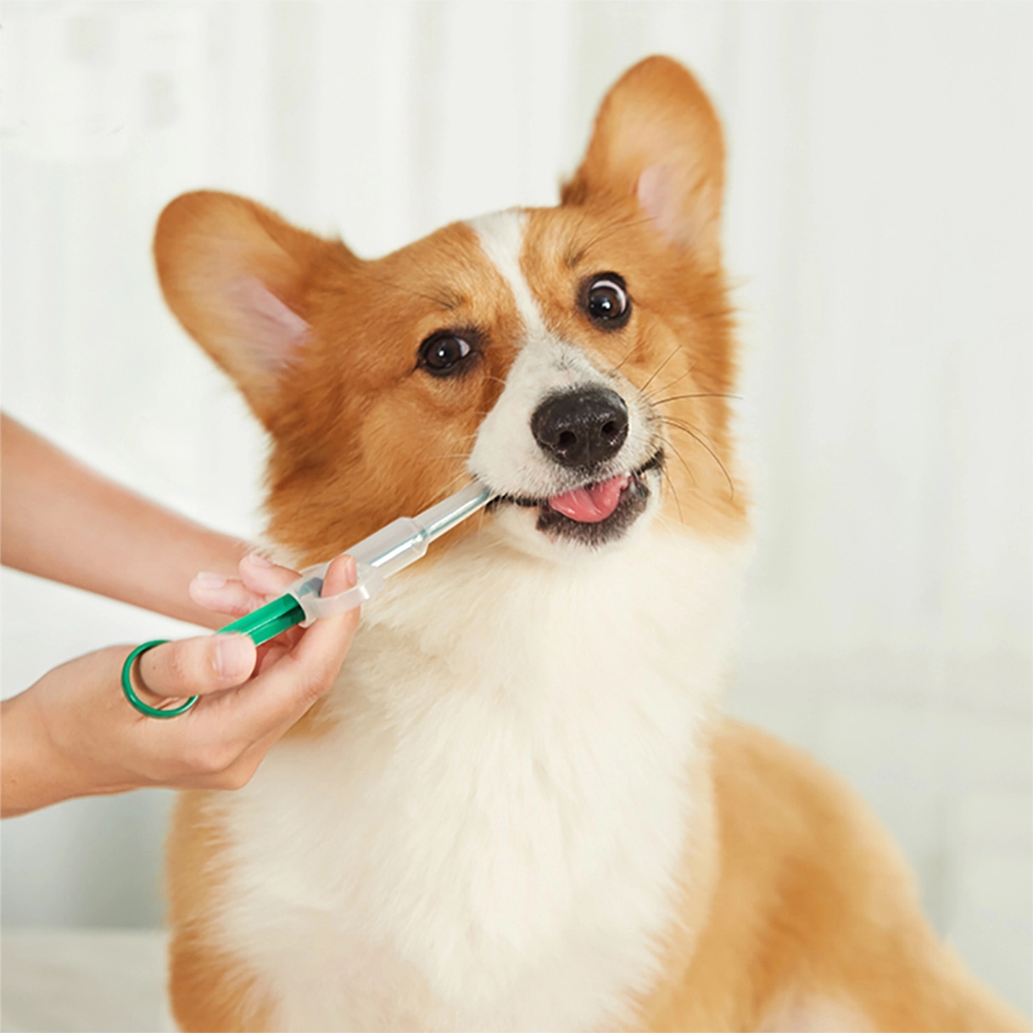Pet Medicine Feeder 3