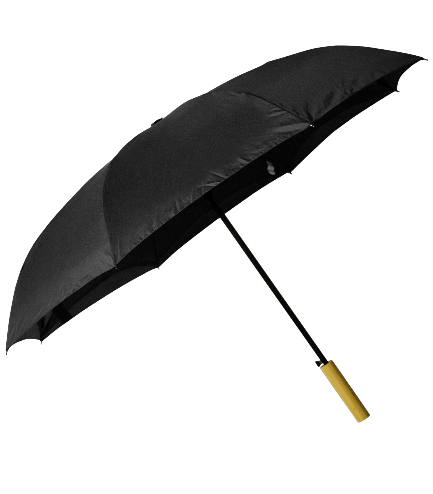Rebel With a Cause Umbrella 3