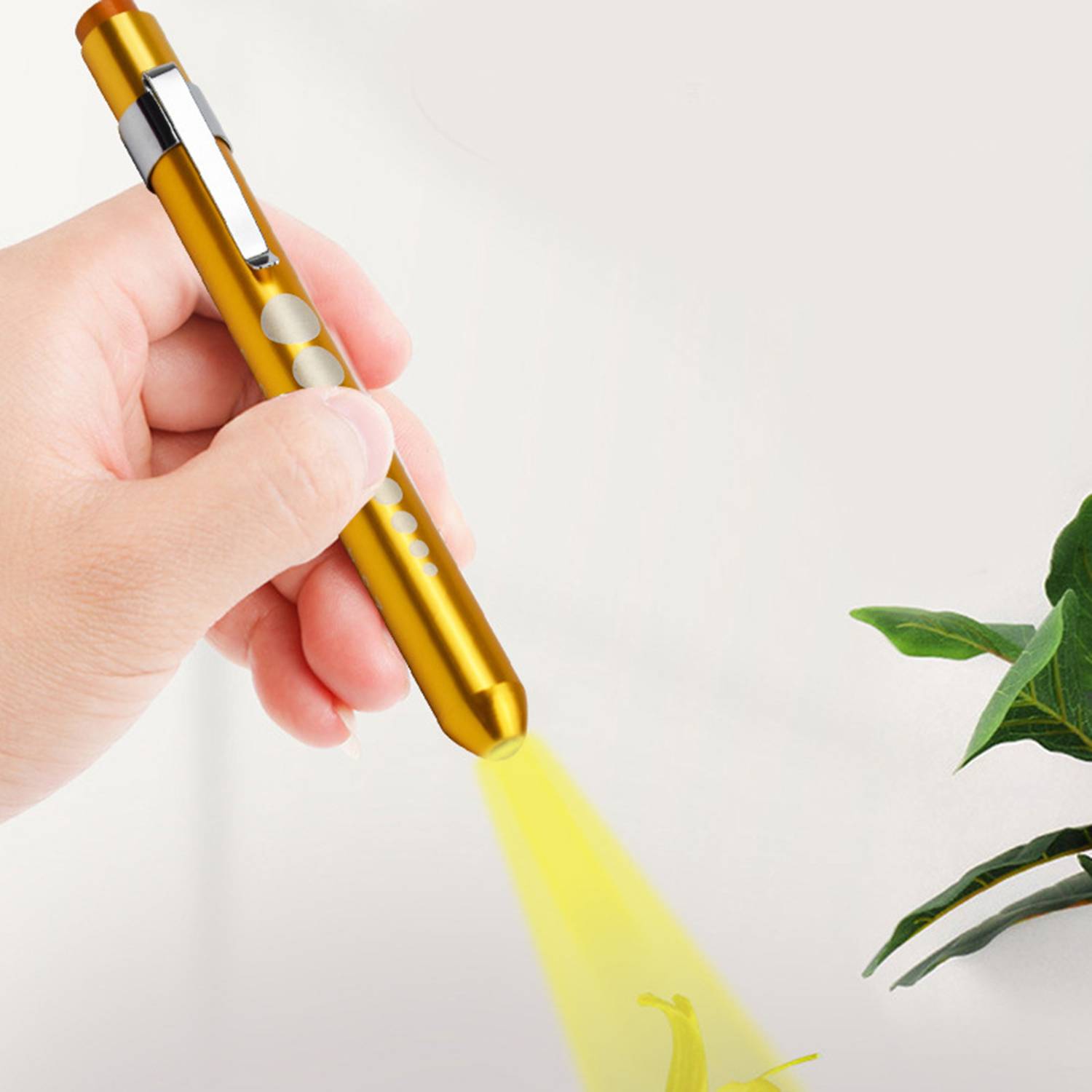 Led Medical Penlight with Pupil Gauge 5