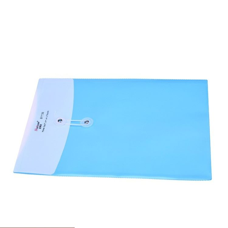 Colorful A4 Plastic Transparent File bag