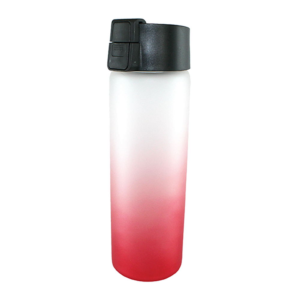 Halcyon® 20 oz. Frosted Glass Bottle with Flip Top Lid 14