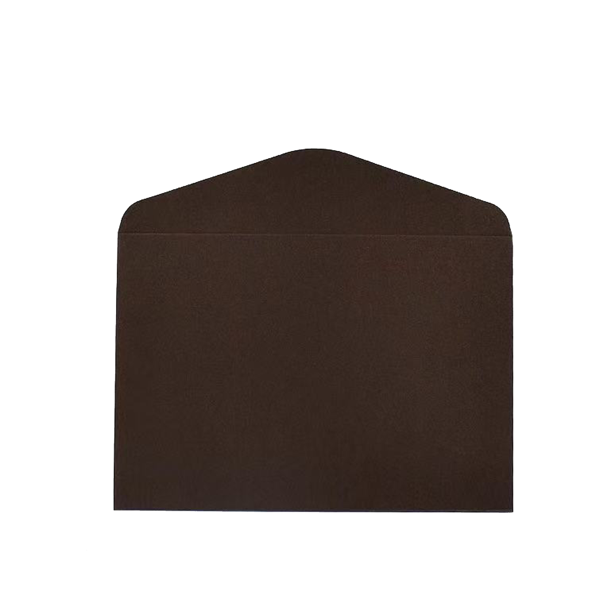 Premium Business Gold Embossed Envelope 2