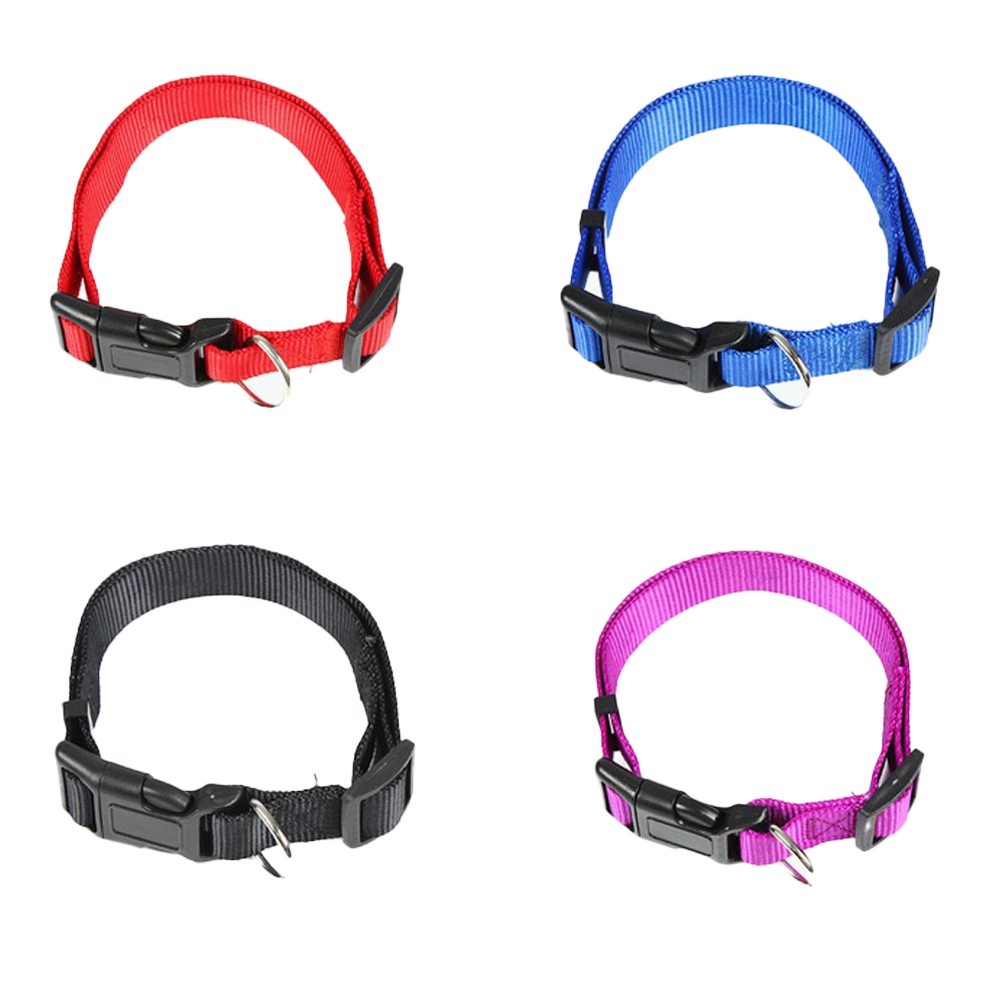 Dog Collar