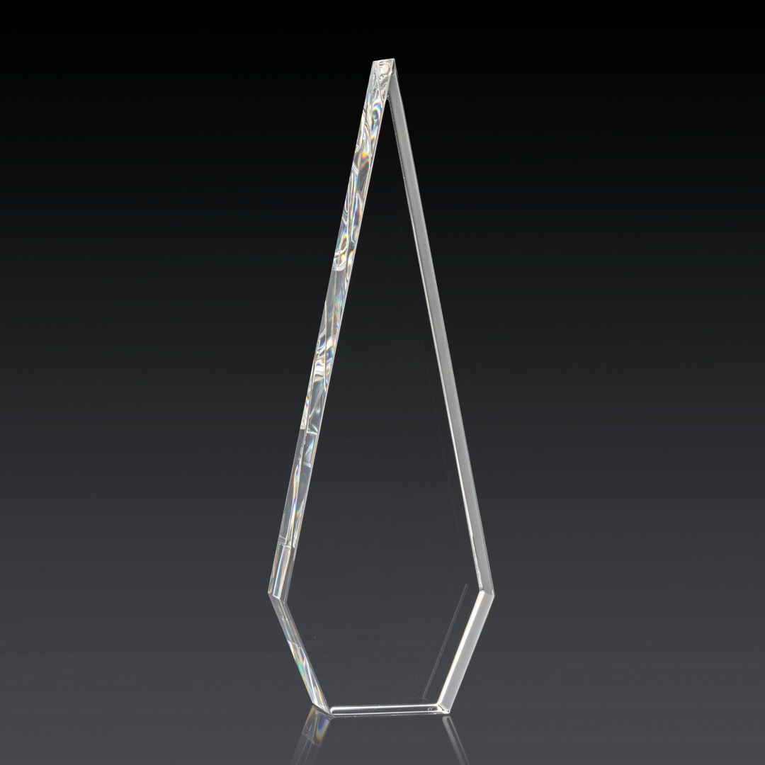 Springfield 3D Award 2
