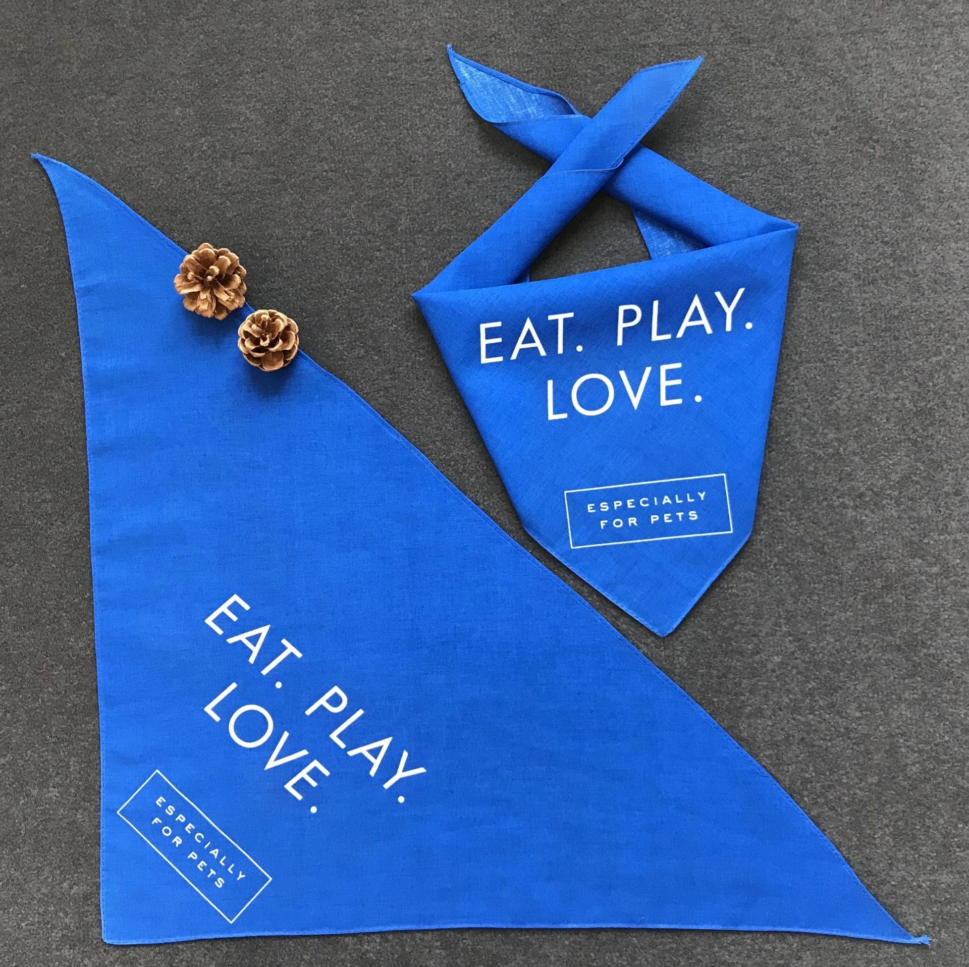 Pet triangle scarf 1