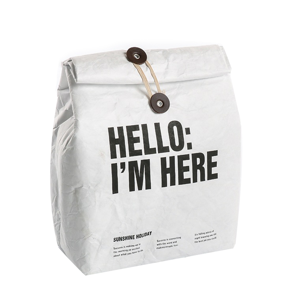 Reusable Freezable Brown Paper Lunch bag 4