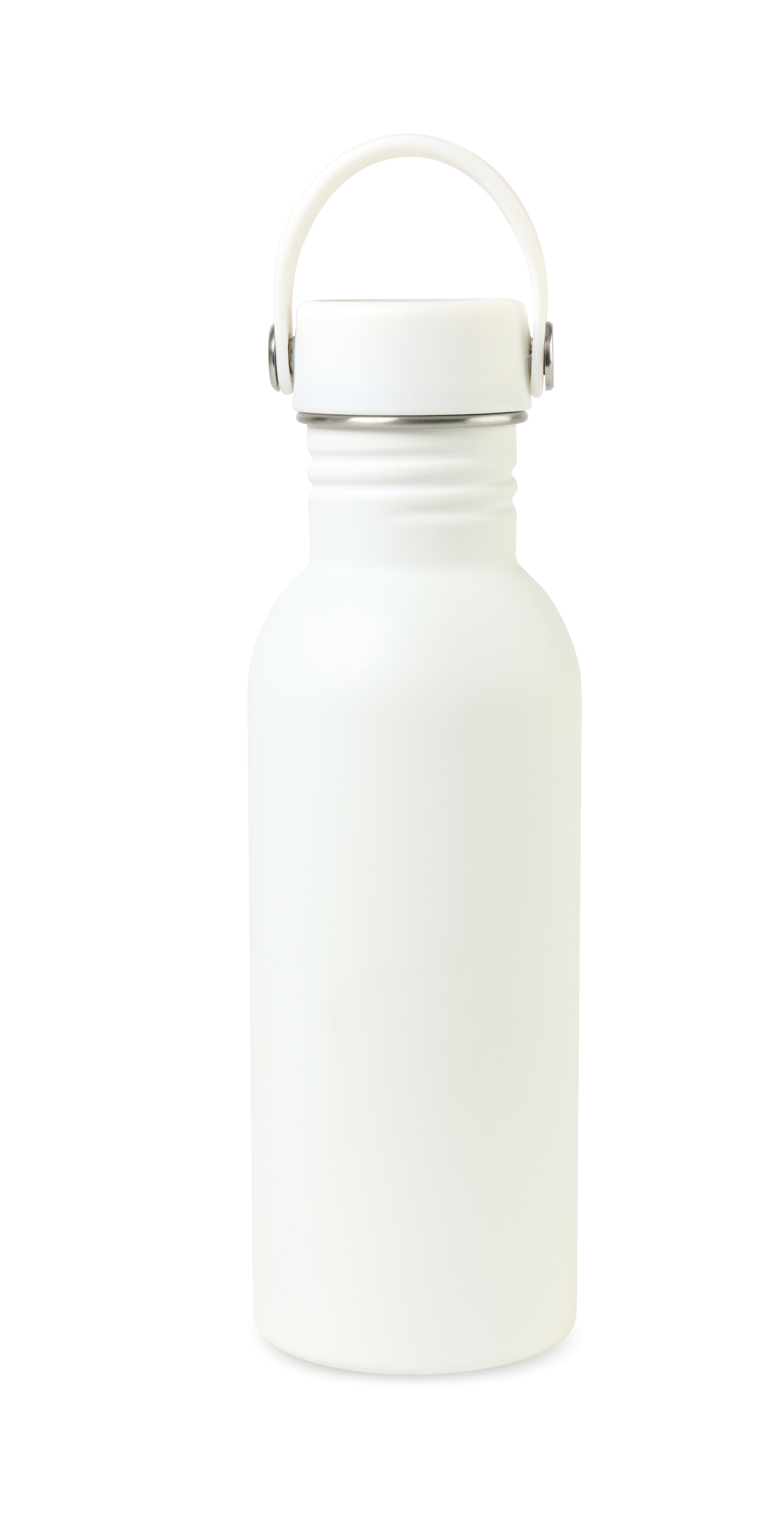 Arlo Classics Stainless Steel Hydration Bottle - 20 Oz.
