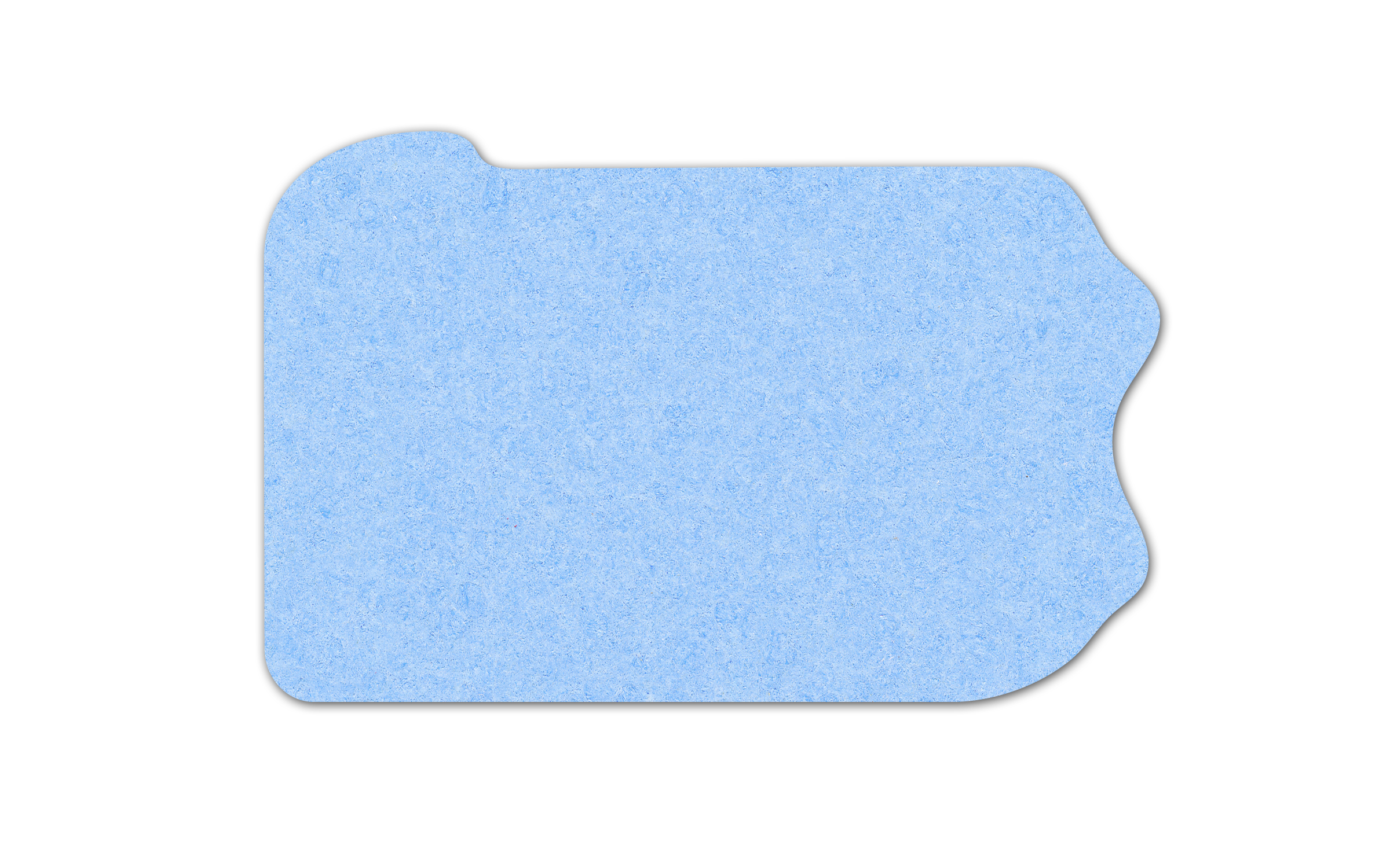 Pennsylvania Compressed Sponge 5