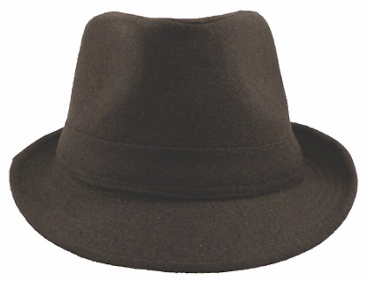 Manhattan Fedora Hat 2