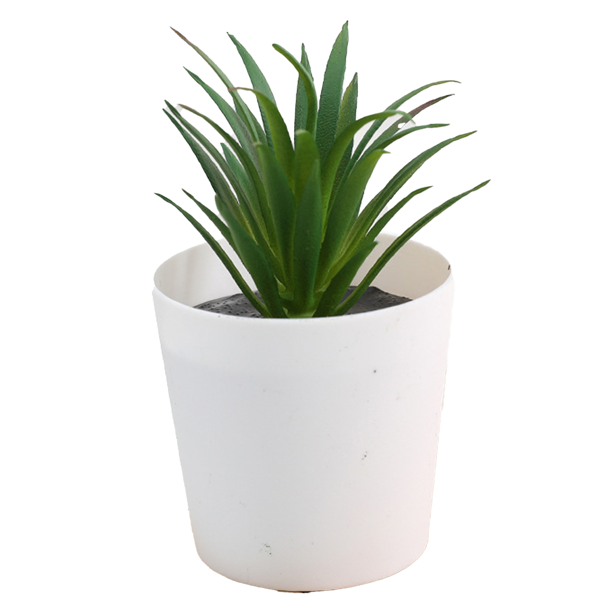 Mini Succulent Potted Plant Set for Home Decor 7