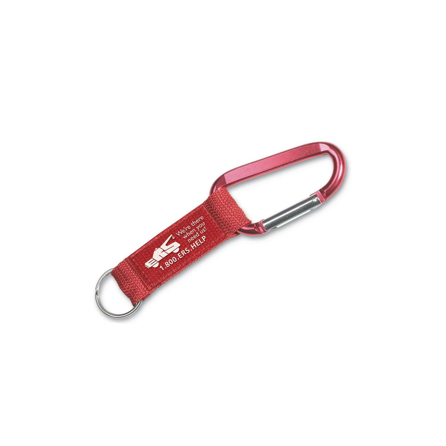 Steel Carabiner Key Tag 6