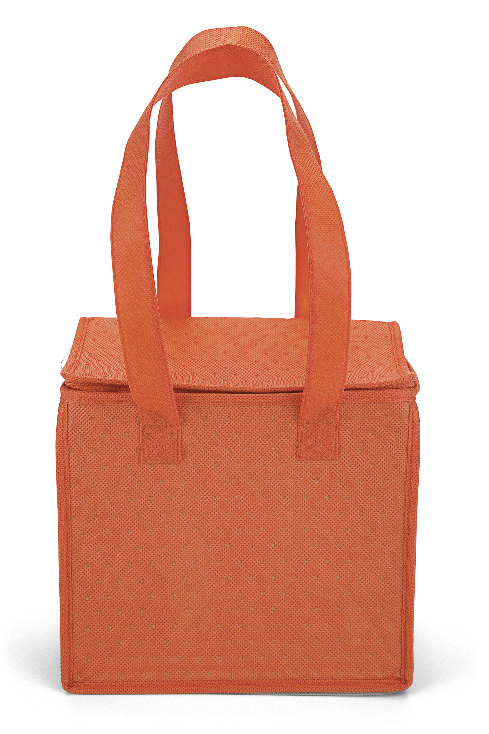 Therm-O Cooler Tote™ - Insulated Bag - ColorVista 5