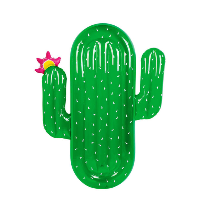 Outdoor Inflatable Cactus Design Pool Float 3