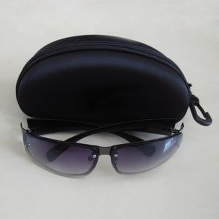 Sunglass Case 2