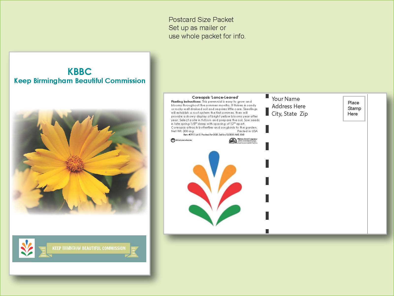 Coreopsis Lance-Leafed Seed Packet - Postcard Mailer Size 4" x 6.5" 2