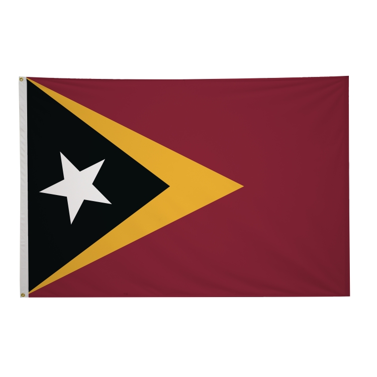 4' x 6' International Flags 165