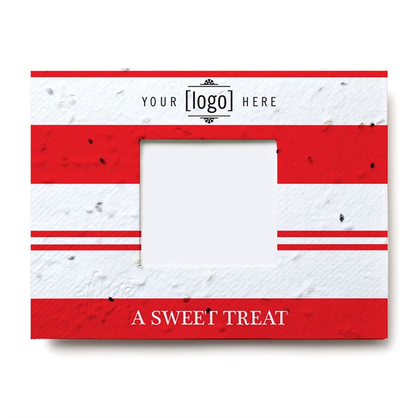 Window Gift Card Holder