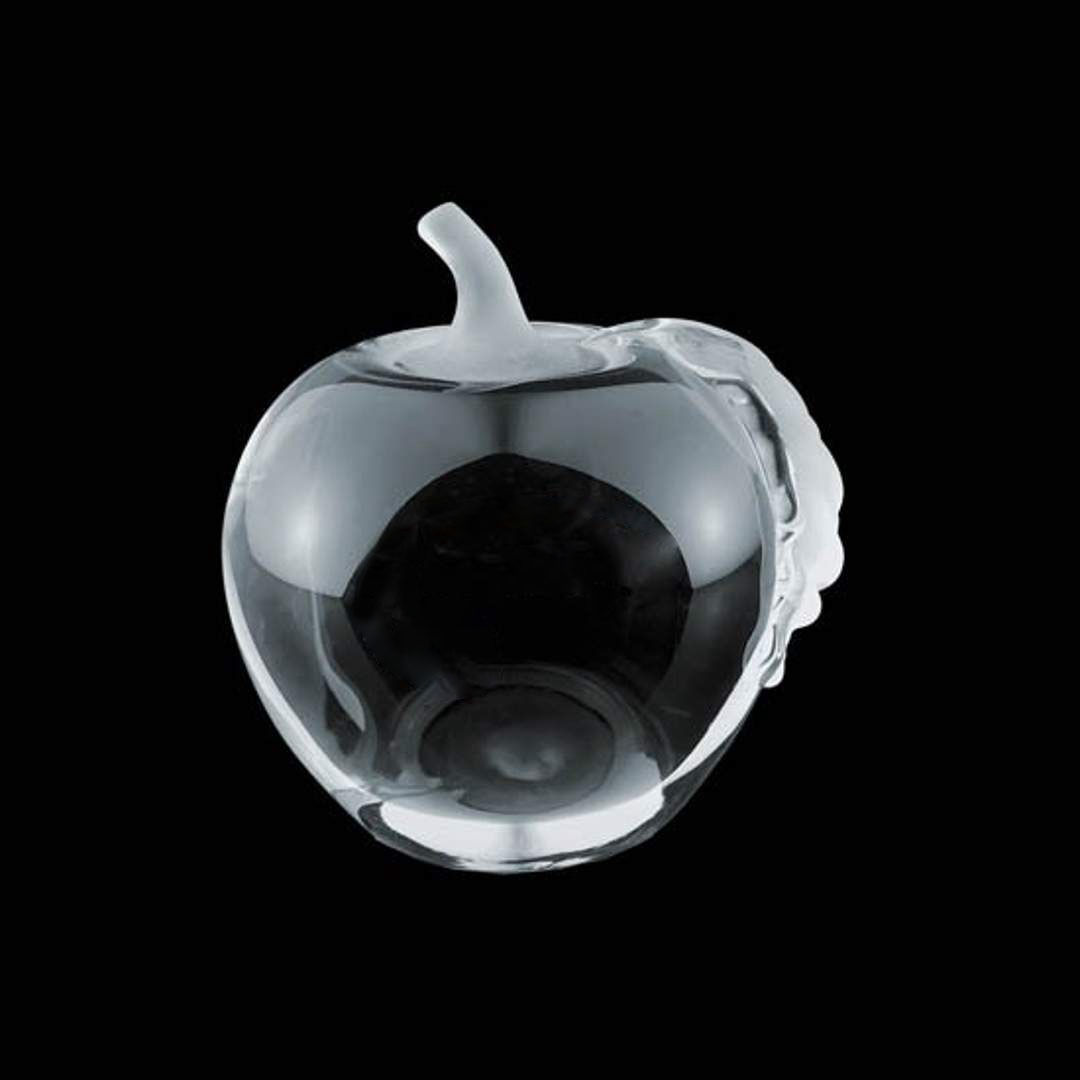 Apple Award 6