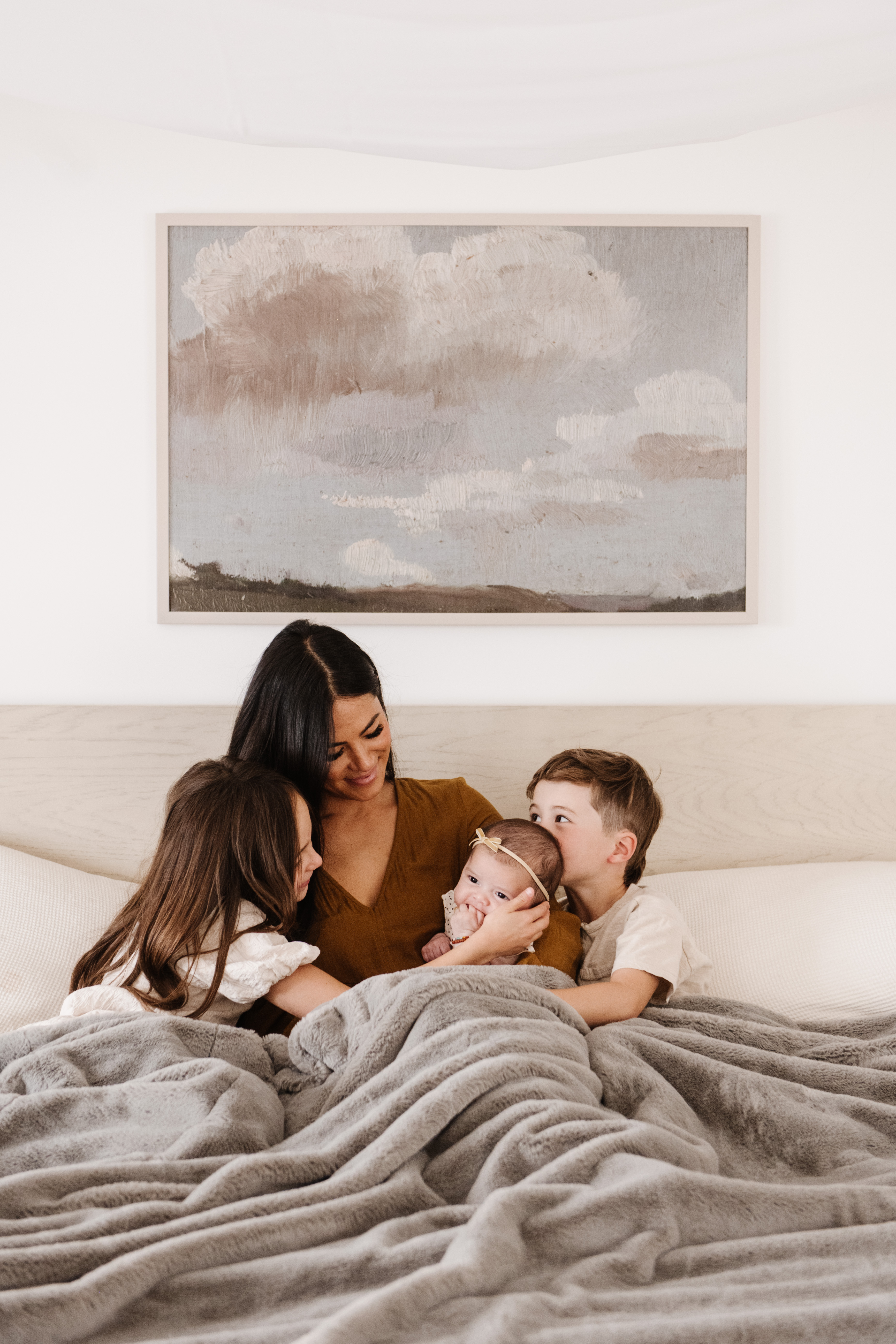 Grand Faux Fur Gray Mink-XL Luxury Blanket (60x80) 1